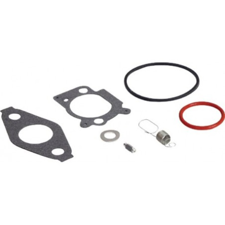 592483-Kit-Carb Overhaul Briggs and Stratton